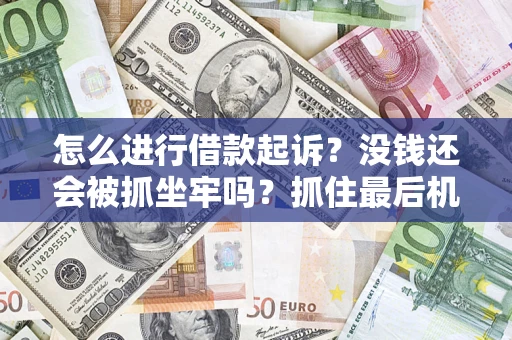 武汉怎么进行借款起诉？没钱还会被抓坐牢吗？抓住最后机会！