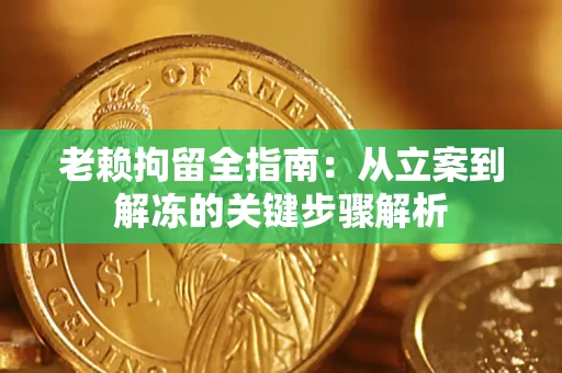 武汉老赖拘留全指南：从立案到解冻的关键步骤解析