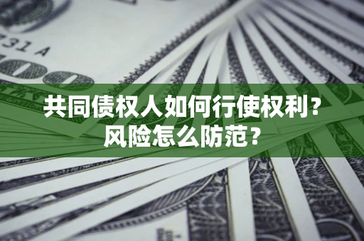 武汉共同债权人如何行使权利？风险怎么防范？