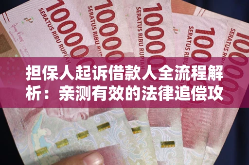武汉担保人起诉借款人全流程解析：亲测有效的法律追偿攻略