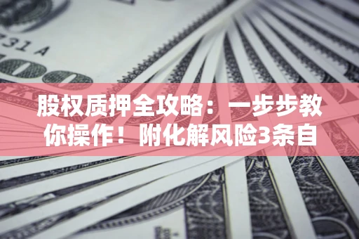 武汉股权质押全攻略：一步步教你操作！附化解风险3条自救法则