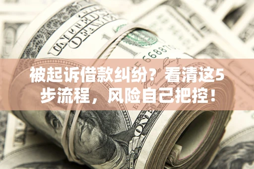 武汉被起诉借款纠纷？看清这5步流程，风险自己把控！