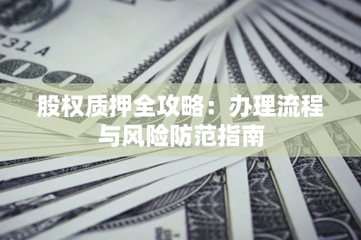 武汉股权质押全攻略：办理流程与风险防范指南
