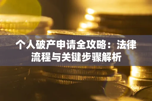 武汉个人破产申请全攻略：法律流程与关键步骤解析