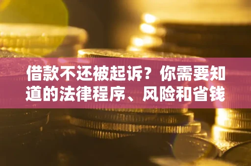 武汉借款不还被起诉？你需要知道的法律程序、风险和省钱技巧